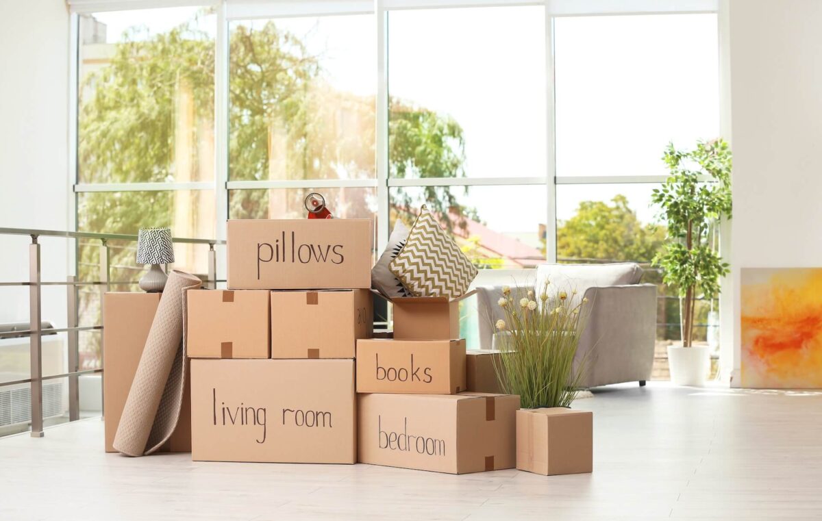 Packages and plants in a room with a window wall