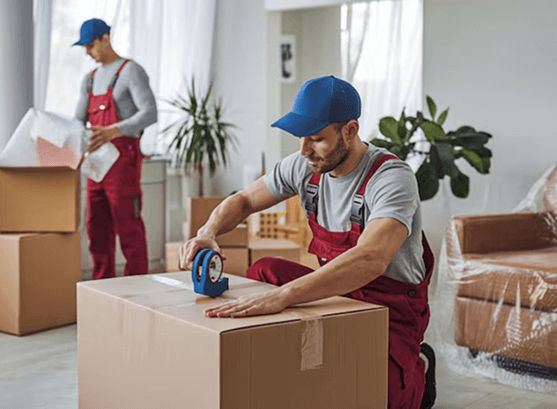 Expert Packing and Inventory  