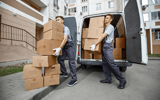 Flexible Storage Solutions 